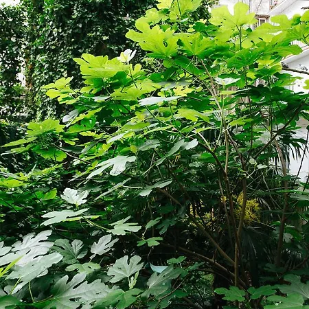 Guest house Centro 2*