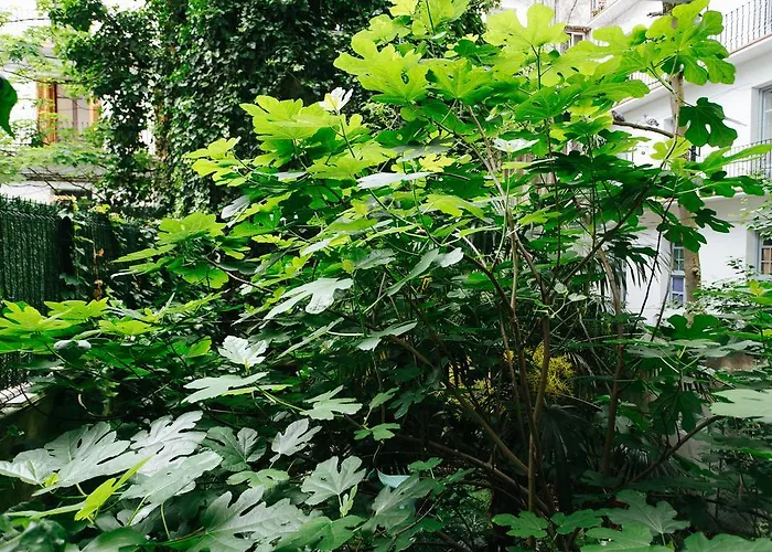 Guest house Centro 2*